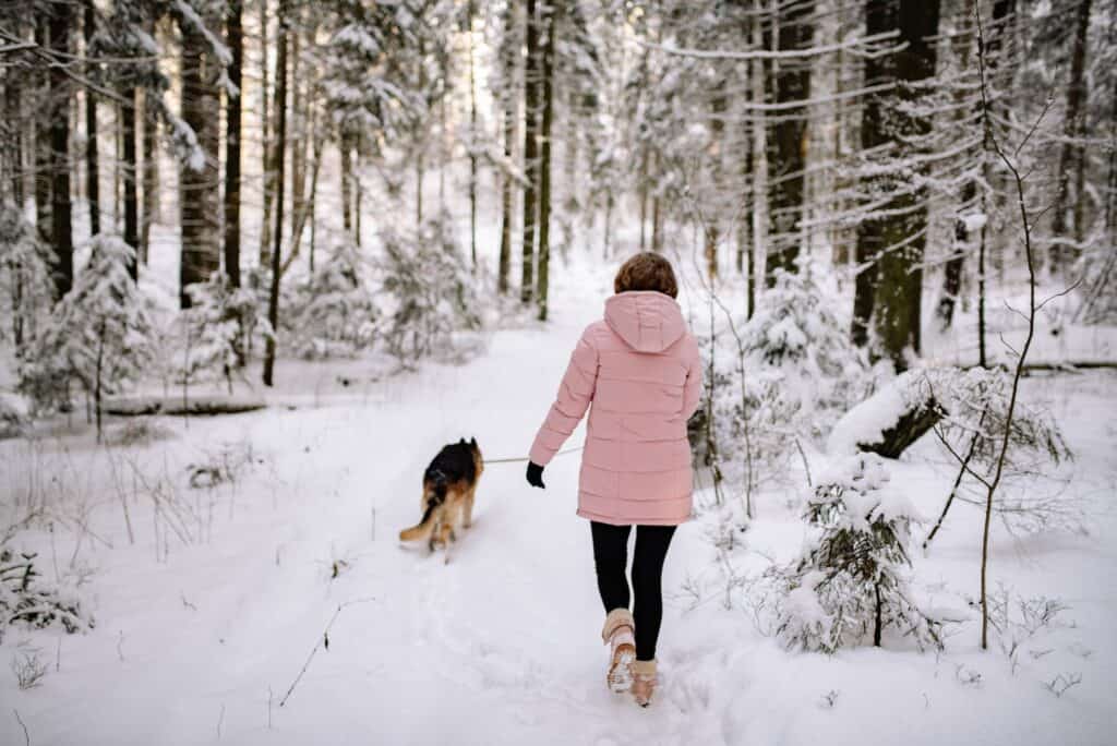 Woman Walking on Snow Covered Ground with a Dog